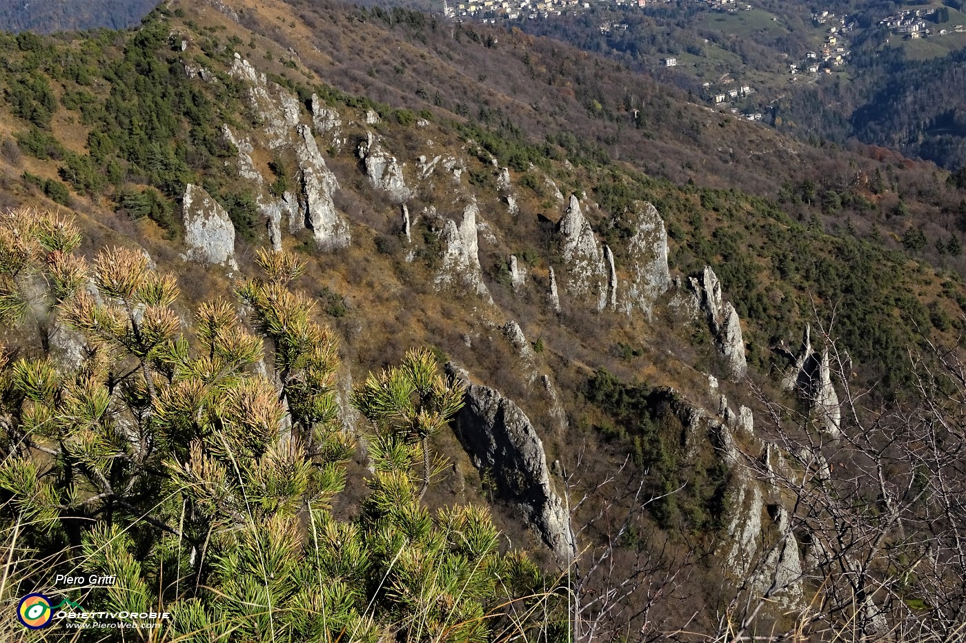 76 Foresta di arditi pinnacoli sul versante di Val Serina.JPG